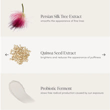 Afbeelding in Gallery-weergave laden, Enlighten Plus Concealer
